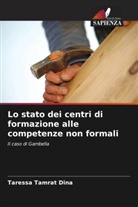 Taressa Tamrat Dina - Lo stato dei centri di formazione alle competenze non formali