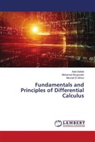 Mohamed Boujoudar, Mourad EL IDRISSI, Adel Settati - Fundamentals and Principles of Differential Calculus
