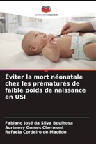 Fabiano José Da Silva Boulhosa, Aurimery Gomes Chermont, Rafaela Cordeiro de Macêdo - Éviter la mort néonatale chez les prématurés de faible poids de naissance en USI