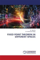 Anil Kumar Dubey, Dr. Anil Kumar Dubey, Dr. Rita Pal, Rita Pal - FIXED POINT THEOREM IN DIFFERENT SPACES