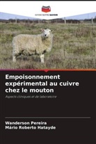 Mário Roberto Hatayde, Wanderson Pereira - Empoisonnement expérimental au cuivre chez le mouton