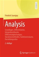 Friedrich Sauvigny - Analysis