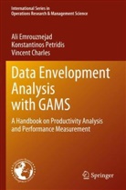 V Charles, Vincent Charles, Ali Emrouznejad, Konstantinos Petridis - Data Envelopment Analysis with GAMS
