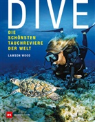 Lawson Wood - Dive
