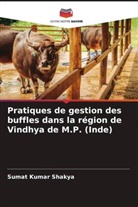 Sumat Kumar Shakya - Pratiques de gestion des buffles dans la région de Vindhya de M.P. (Inde)