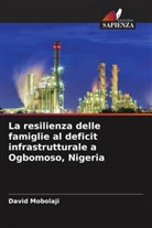 David Mobolaji - La resilienza delle famiglie al deficit infrastrutturale a Ogbomoso, Nigeria