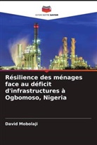 David Mobolaji - Résilience des ménages face au déficit d'infrastructures à Ogbomoso, Nigeria