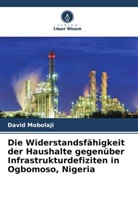 David Mobolaji - Die Widerstandsfähigkeit der Haushalte gegenüber Infrastrukturdefiziten in Ogbomoso, Nigeria