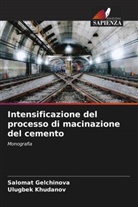 Salomat Gelchinova, Ulugbek Khudanov - Intensificazione del processo di macinazione del cemento