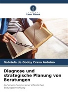 Gabriela de Godoy Cravo Arduino - Diagnose und strategische Planung von Beratungen