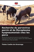 Thales Coelho de Alvarenga - Recherche du parvovirus porcin et de Mycoplasma hyopneumoniae chez les porcs