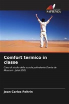 Jean Carlos Feltrin - Comfort termico in classe