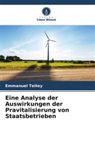 Emmanuel Teitey - Eine Analyse der Auswirkungen der Pravitalisierung von Staatsbetrieben