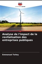 Emmanuel Teitey - Analyse de l'impact de la revitalisation des entreprises publiques