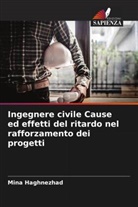 Mina Haghnezhad - Ingegnere civile Cause ed effetti del ritardo nel rafforzamento dei progetti