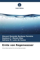 Adriano M. Leão de Sousa, Gus Morais Dias, Gustavo F. Morais Dias, Giovani Rezende Barbosa Ferreira - Ernte von Regenwasser