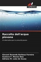 Adriano M. Leão de Sousa, Gustavo F. Morais Dias, Giovani Rezende Barbosa Ferreira - Raccolta dell'acqua piovana