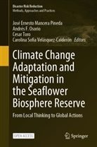 Andrés F Osorio, Andrés Fernando Osorio Arias, José Ernesto Mancera Pineda, Andrés F Osorio, Andrés F. Osorio, Andrés Fernando Osorio Arias... - Climate Change Adaptation and Mitigation in the Seaflower Biosphere Reserve