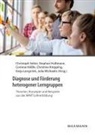 Corinna Hössle, Corinna Hössle u a, Stephan Hussmann, Christine Knipping, Katja Lengnink, Julia Michaelis... - Diagnose und Förderung heterogener Lerngruppen