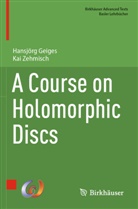 Hansjörg Geiges, Kai Zehmisch - A Course on Holomorphic Discs