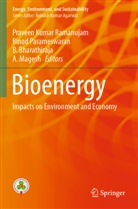 B. Bharathiraja, B Bharathiraja et al, A. Magesh, Binod Parameswaran, Praveen Kumar Ramanujam - Bioenergy