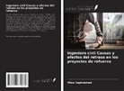 Mina Haghnezhad - Ingeniero civil Causas y efectos del retraso en los proyectos de refuerzo