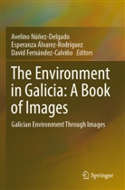 Esperanza Álvarez-Rodríguez, Da Fernández-Calviño, David Fernández-Calviño, Avelino Núñez-Delgado - The Environment in Galicia: A Book of Images