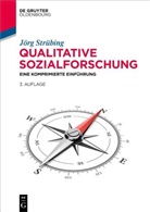 Jörg Strübing - Qualitative Sozialforschung
