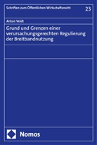 Anton Veidt - Grund und Grenzen einer verursachungsgerechten Regulierung der Breitbandnutzung