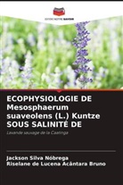 Riselane de Lucena Acântara Bruno, Jackson Silva Nóbrega - ECOPHYSIOLOGIE DE Mesosphaerum suaveolens (L.) Kuntze SOUS SALINITÉ DE