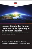 Raniele Barboza de Souza Pontes, Elisabeth Regina Alves Cavalcanti Silva - Images Google Earth pour l'analyse de la dynamique du couvert végétal