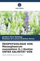 Riselane de Lucena A Bruno, Riselane de Lucena Acântara Bruno, Jackson Silva Nóbrega - ÖKOPHYSIOLOGIE VON Mesosphaerum suaveolens (L.) Kuntze UNTER SALINITÄT VON