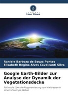 Raniele Barboza de Souza Pontes, Regina Alves Cava, Elisabeth Regina Alves Cavalcanti Silva - Google Earth-Bilder zur Analyse der Dynamik der Vegetationsdecke