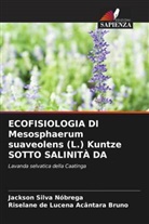 Riselane de Lucena Acântara Bruno, Jackson Silva Nóbrega - ECOFISIOLOGIA DI Mesosphaerum suaveolens (L.) Kuntze SOTTO SALINITÀ DA