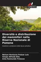 Sérgio Alfredo Bila, Arão Raimundo Finiasse, Nelson Honiasse Pulaze Luís - Diversità e distribuzione dei mammiferi nella Riserva Nazionale di Pomene