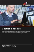 Ogbu Chinyere Joy - Gestione dei dati
