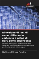 Wallisson Oliveira Ferreira - Rimozione di ioni di rame utilizzando corteccia e polpa di baru come adsorbente