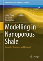 Liehui Zhang, Tao Zhang, Yulong Zhao - Modelling in Nanoporous Shale