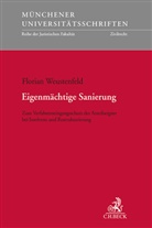 Florian Weustenfeld, Florian (Dr.) Weustenfeld - Eigenmächtige Sanierung