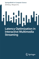 Zili Meng, Mingwei Xu - Latency Optimization in Interactive Multimedia Streaming