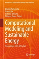 Jwngsar Brahma, Jwngsar Brahma et al, Brajesh Kumar Jha, Navnit Jha, Mehmet Yavuz - Computational Modeling and Sustainable Energy