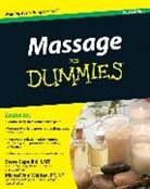 Steve Capellini, Steve Van Welden Capellini, Steve Welden Capellini, Michel Van Welden, Michel Van Welden - Massage for Dummies