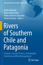 Pablo Iribarren Anacona, Pablo Iribarren Anacona et al, Andrés Iroumé, Bruno Mazzorana, Carlos Oyarzún - Rivers of Southern Chile and Patagonia