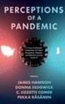 C Cozette Comer, C. Cozette (Virginia Tech Comer, James Hawdon, James (Virginia Tech Hawdon, Pekka (University of Turku Rasanen, Pekka Räsänen... - Perceptions of a Pandemic