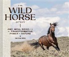 Chad Hanson, Chad Hanson - The Wild Horse Effect