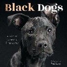Fred Levy, Levy Fred - Black dogs