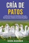 Dion Rosser - Cría de Patos