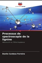 Danilo Cardoso Ferreira - Processus de spectroscopie de la lignine