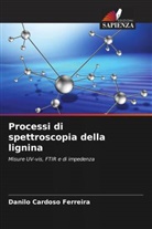 Danilo Cardoso Ferreira - Processi di spettroscopia della lignina