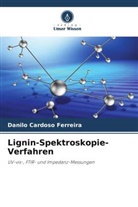 Danilo Cardoso Ferreira - Lignin-Spektroskopie-Verfahren